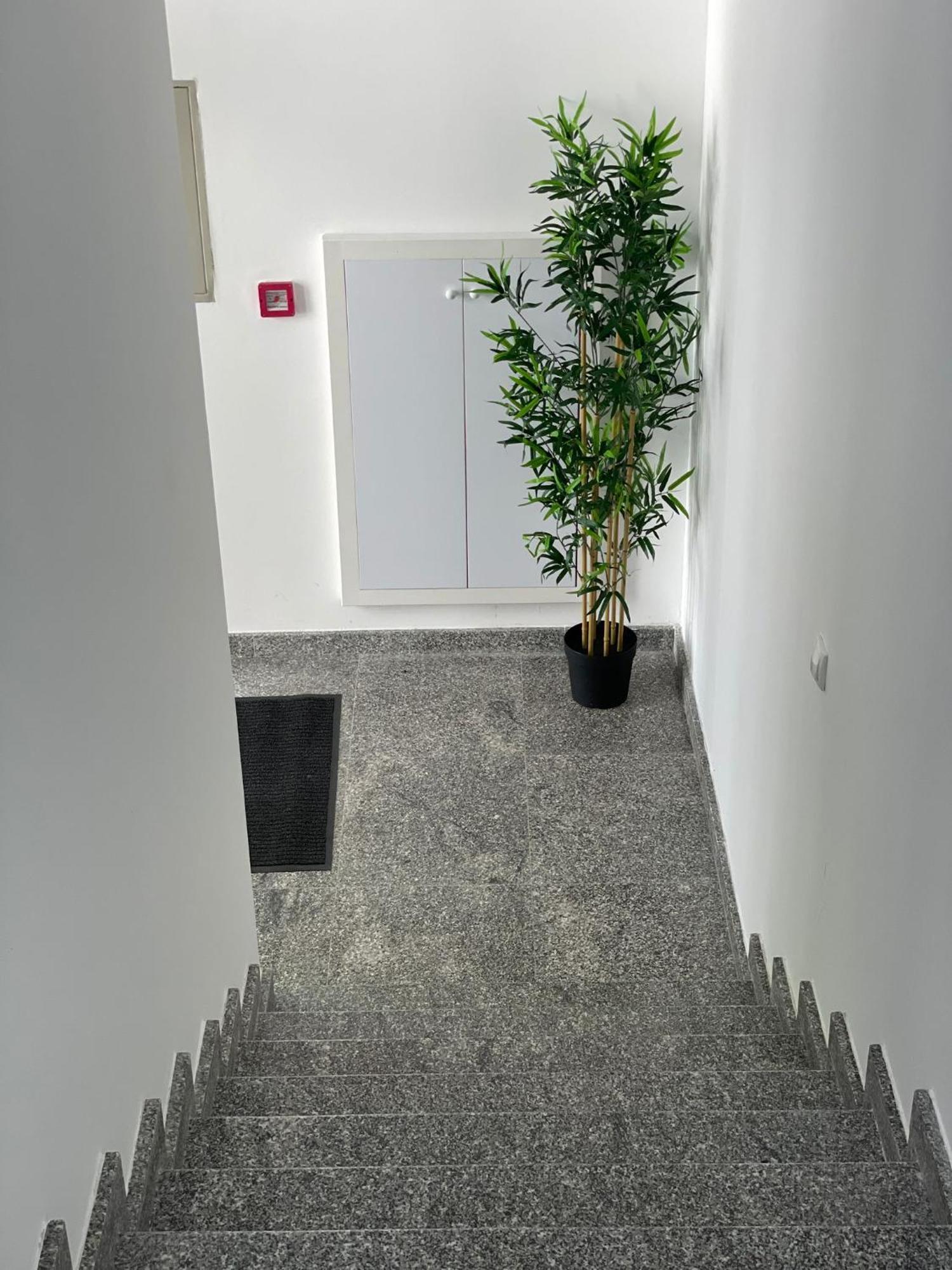 Morpheus Apartmani Sremska Mitrovica Exteriör bild